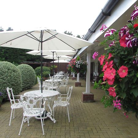 Decoy Barn Fritton Bed & Breakfast Exterior foto