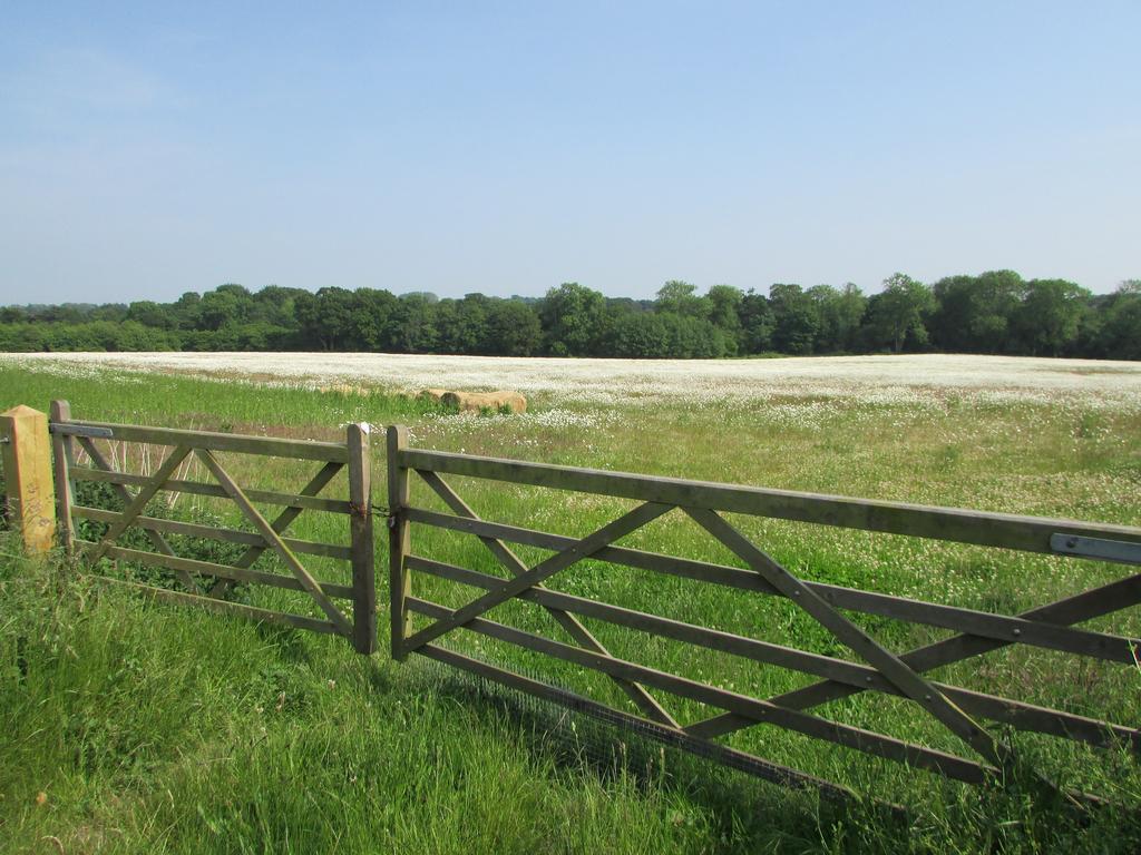 Decoy Barn Fritton Bed & Breakfast Exterior foto