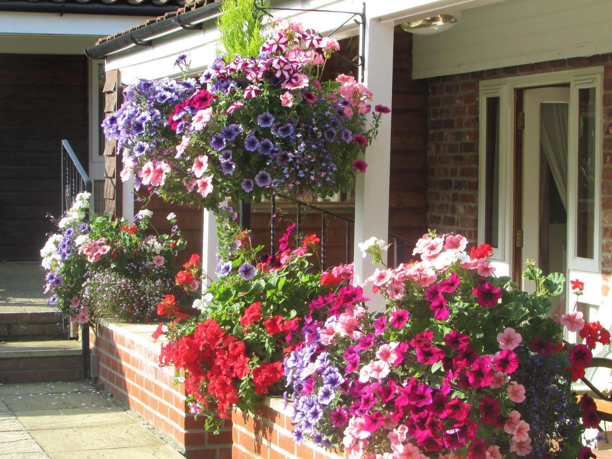 Decoy Barn Fritton Bed & Breakfast Exterior foto