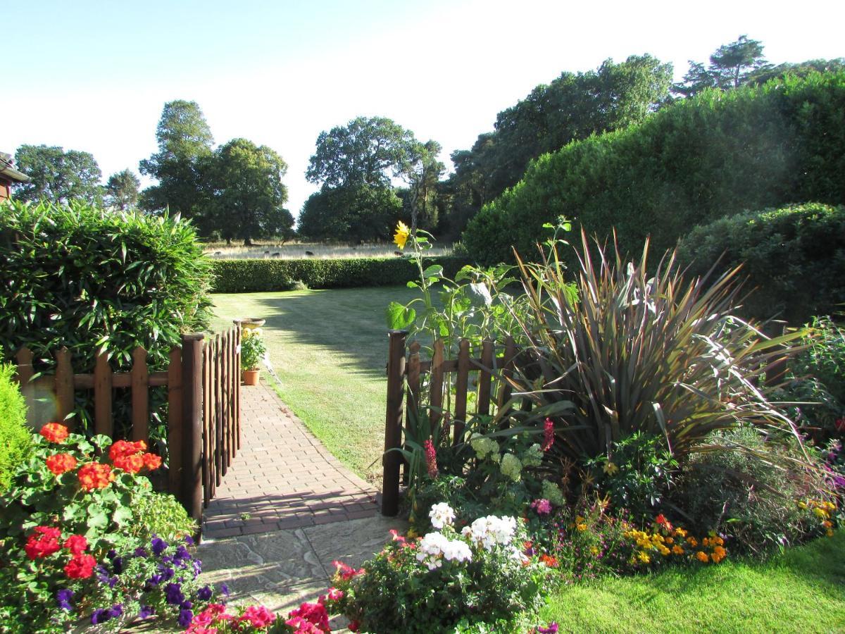 Decoy Barn Fritton Bed & Breakfast Exterior foto